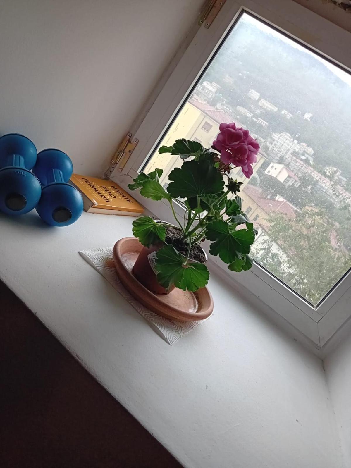 Antonini Apartments Триест Экстерьер фото